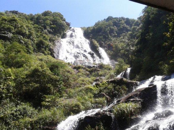 荒岛枪训